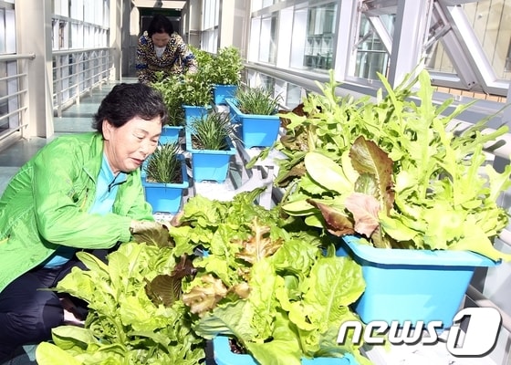 사진제공=함평군 © News1