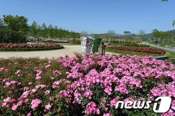 순천정원박람회장 내 야수의 장미 정원 전경© News1서순규 기자