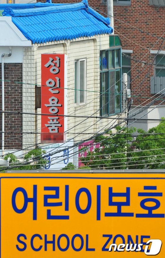 22일 전북 전주시 인후2동 동북초등학교 30m 인근 상가에서 유해업소로 분류된 성인용품점이 버젓이 영업을 하고 있다.2013.05.22/뉴스1 © News1 김대웅 기자