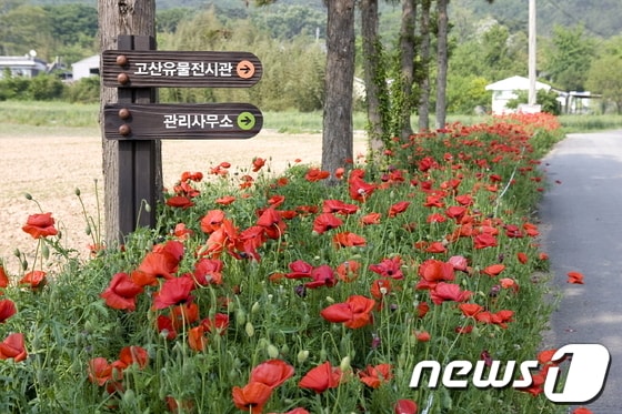 사진제공=해남군© News1