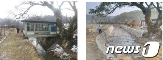 호안 정비 전과 후 © News1