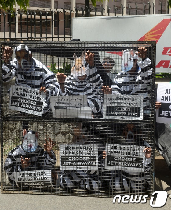 인도 뉴델리 소재의 항공사 '에어 인디아(Air India)'의 본사앞에서 23일(현지시간) 동물보호단체 운동가들이 동물가면을 쓰고 죄수복을 입은채 우리안에 들어가 퍼포먼스를 하고 있다. '동물을 인도적으로 사랑하는 사람들(PETA)'이 주최한 이 집회는 에어 인디아가 실험을 위한 동물들을 운반하는 것에 대해 반대하기 위해 계획됐다. © AFP=News1  