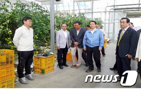 사진제공=전남농업기술원© News1