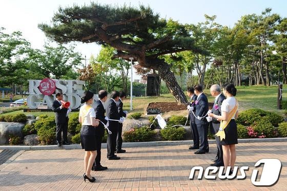 조선대는 24일 오후 장미원 입구에서 천창석 부안성모병원 회장이 기증한 수령 300년 이상 명품소나무 표지석 제막식을 진행했다.(사진=조선대) © News1