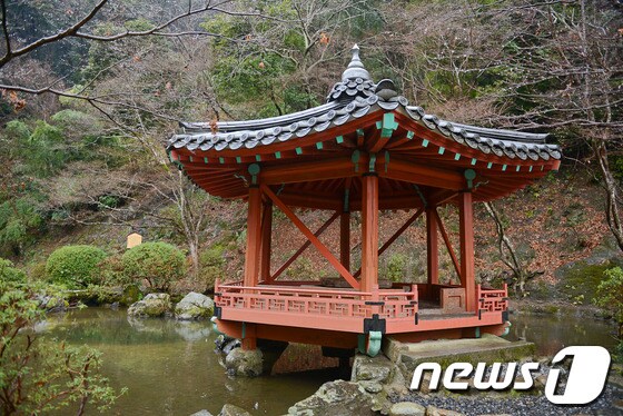 사진제공=고양시 © News1