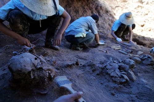 한국전쟁 당시 재판절차를 거치지 않은 채 민간인이 국군 등에 의해 살해된 '경산 국민보도연맹 및 예비검속 사건'의 유해 수습 작업이 15년 만에 재개된다. 사진은 1기 진실화해위가 발굴한 유골들. News1 자료 사진