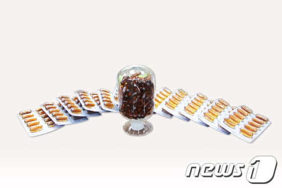 미세조류를 이용한 DHA/사진제공=경북바이오산업연구원 © News1