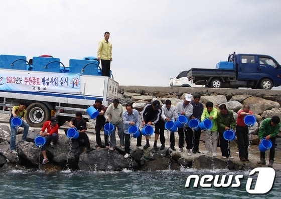 고흥지역 어업인들이 19일 두원면 풍류선착장에서 감성돔 등 치어르 방류하고 있다./사진제공=고흥군 © News1 
