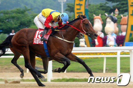 30일 과천 서울경마공원에서 열린  제1회 제주특별자치도지사배 대상경주에서 `지금이순간'에 기승한 문세영 선수가 가장 먼저 결승선을 통과하고 있다./사진제공=한국마사회© News1  