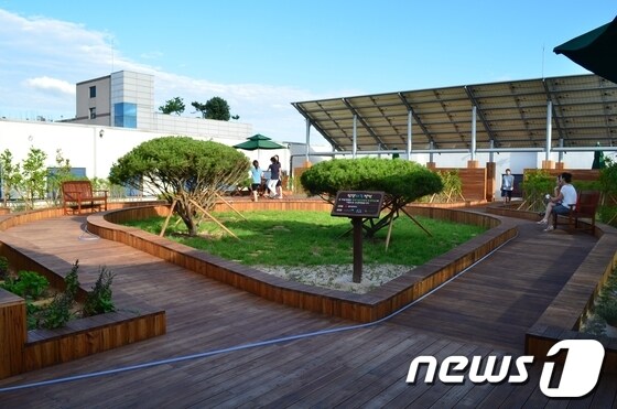 광산구 첨단종합사회복지관은 지난5월말부터 시작한 옥상정원인 &#39;첨단하늘정원&#39;을 완공했다.© News1 