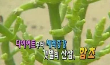 MBC &#39;생방송 오늘 아침&#39;. © News1 