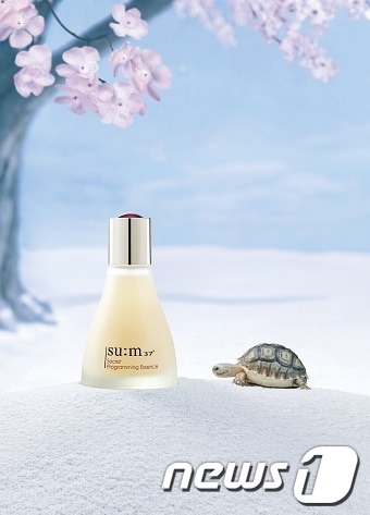 숨37시크릿 프로그래밍 에센스© News1  