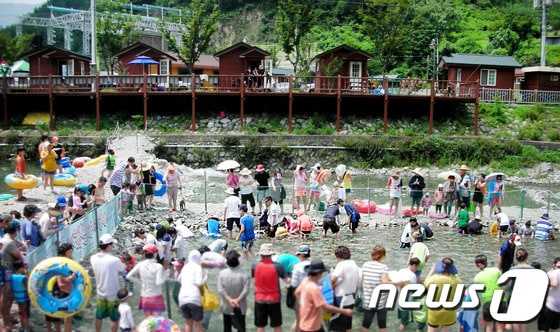 삼척 덕풍계곡에서 산천어잡기 체험을 하는 관광객들의 모습. (사진제공=삼척시청) 2013.7.29./뉴스1ⓒ News1