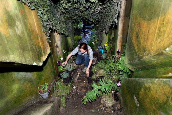 p7일(현지시간) 덴마크 북부 항구도시인 히르트스할스에서 열린 벙커러브(Bunkerlove) 문화제에서 제2차 세계대전 중 해안을 감시하기 위해 독일군이 구축한 벙커에서 현재는 ‘화원’으로 변한 벙커에서 한 여성이 작업을 하고 있다. 이 축제는 덴마크 지역 및 국제 예술가들이 유틀란드 서해안을 따라 꽃으로 장식한 각각의 벙커 내부, 또는 벙커 위에서 열리고 있다. © AFP=뉴스1  /p