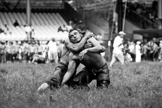 p7일(현지시간) 터키 서북부 에디르네 근처 사라이치에서 매년 개최되는 제652회 키르크피나르(Kirkpinar) 오일레슬링대회에서 젊은 선수들이 기량을 겨루고 있다. 참가자들은 머리부터 발끝까지 오일을 바른 채 웃통을 벗고 특별히 고안된 가죽바지를 입은 뒤 경기에 나선다. © AFP=뉴스1  /p