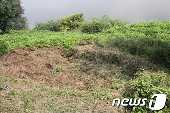 충남공주 공산성 광복루 부근 성벽과 금강 사이 지반에 지름 약 3m, 깊이 50cm정도의 거대한 포트홀이 형성돼 있는 모습. 4대강검증단은 올해 상반기 이같은 포트홀이 발견됐다고 밝혔다. 이들은 4대강사업으로 강바닥을 깎으면서 이 지대의 모래톱이 대부분 유실되고, 수압이 기하급수적으로 높아지면서 산성벽 지반침식을 일으키고 있다고 주장했다/2013.8.28 박지선.© News1 