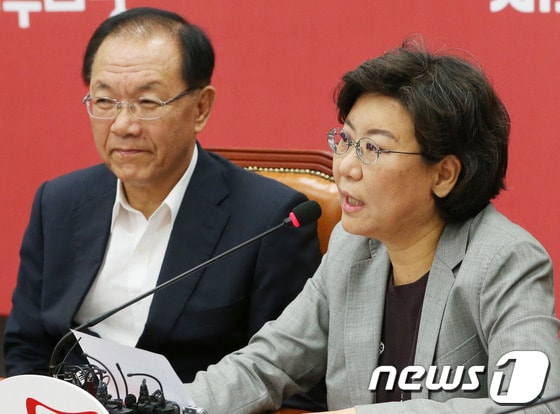 이혜훈 새누리당 최고위원. 2013.8.5/뉴스1 © News1 송원영 기자