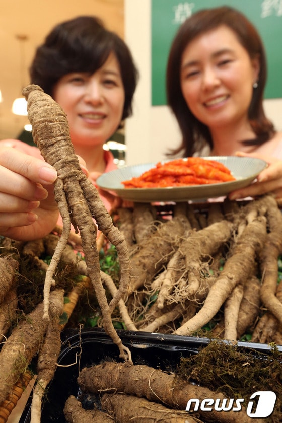 2013.8.6 머니투데이/뉴스1 © News1