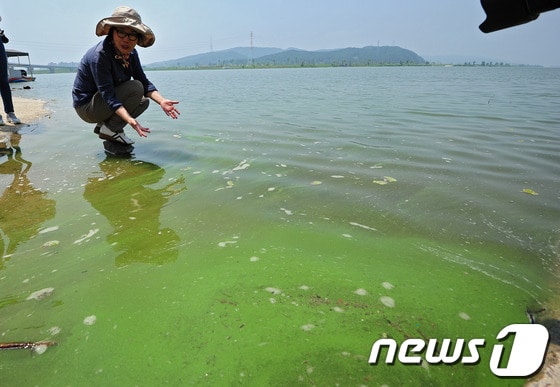 4대강 공사와 녹조발생의 연관관계를 밝히는 조사를 위해 지난 8월 7일 오후 대구 달서구 강정고령보를 방문한 4대강 국민검증단과 민주당 이미경, 박수현 의원이 강정고령보에서 4대강 공사의 부당성에 대해 설명하고 있다. 2013.8.7./뉴스1 © News1 김영진 기자