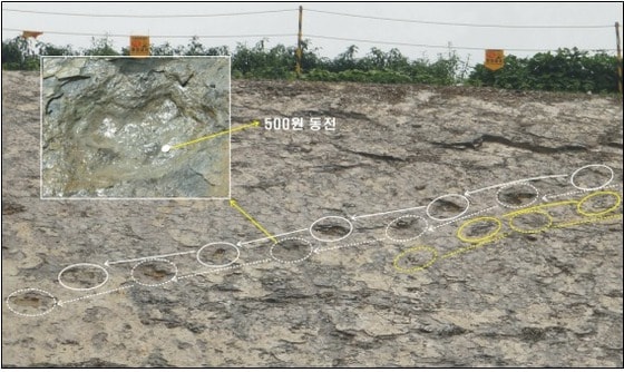 군산시 산북동 지방공단~4토지 간 도로개설공사 구간에서 발견된 두발걷기를 보여주는 공룡발자국© News1   박지선 기자
