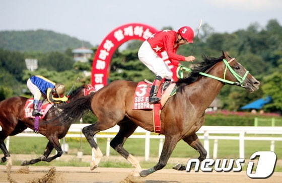 1일 과천 서울경마공원에서 열린 한일 경주마 교류경주에서 `토센아처'에 기승한 `마토바 후미오' 선수가 가장 먼저 결승선을 통과하고 있다./사진제공=한국마사회© News1 