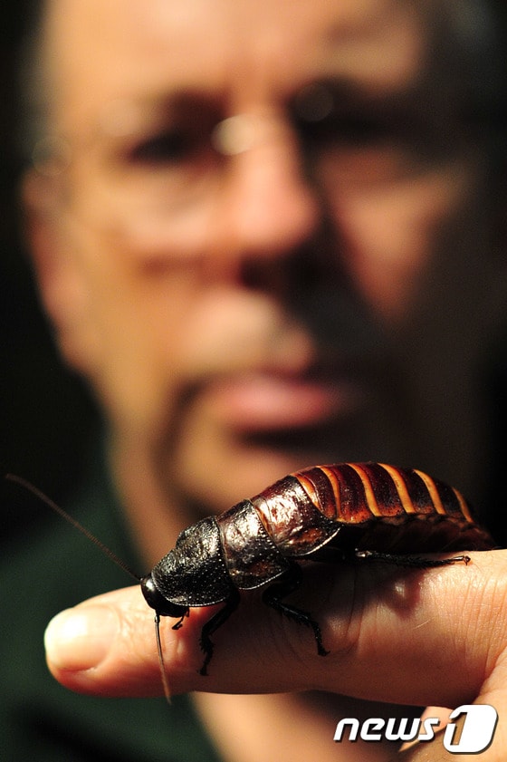 (자료사진)© AFP=News1