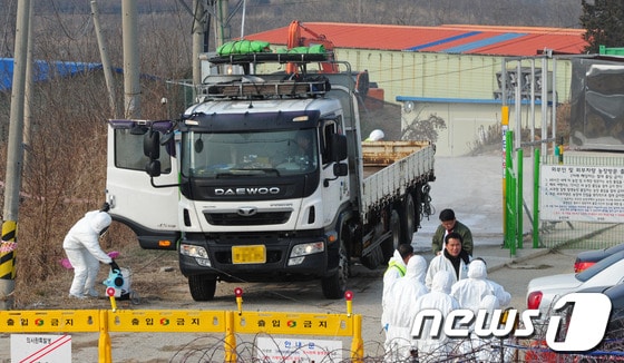 17일 오후 고병원성 조류인풀루엔자&#40;AI&#41;가 발생한 전북 고창의 한 농가에서 방역당국 관계자들이 오리 2만여마리를 살처분할때 사용한 트럭을 소독하고 있다.2014.1.17/뉴스1 © News1   김대웅 기자
