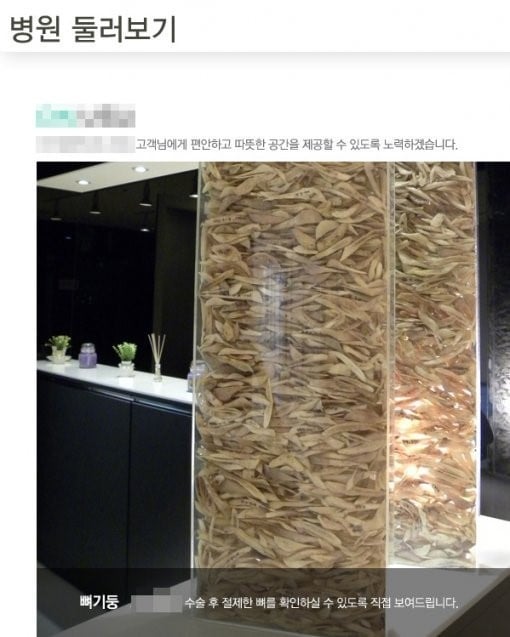 강남의 모 성형외과의 '턱뼈탑' © News1 