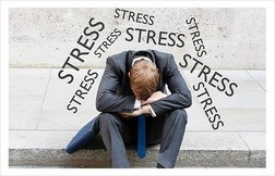 파랑새증후군© News1