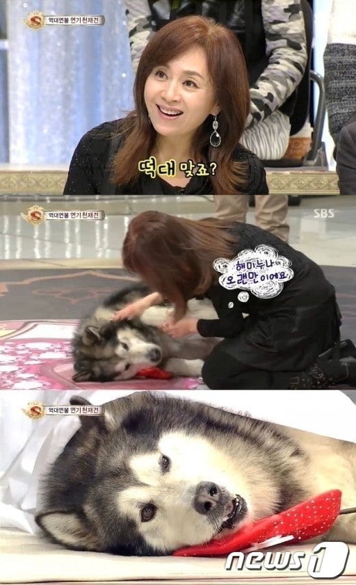 스타킹 떡대 충연(SBS 스타킹 영상 캡쳐)© News1