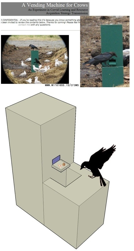 온라인 커뮤니티. © News1  