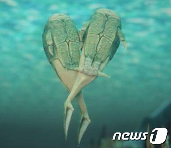 최초의 암수 교미 생물로 알려진 판피어 마이크로브라키우스의 짝짓기 모습 복원도.(플린더스대학 제공)ⓒ News1