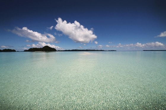 팔라우의 바다. ⓒ News1