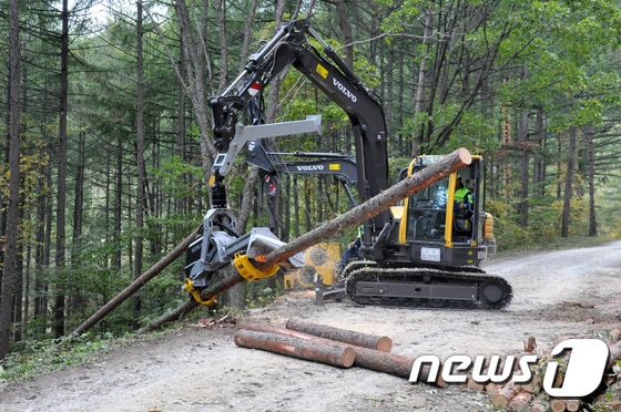 7일 강원도 평창군 대화면 하안미리 가리왕산에서 열린 "고성능 임업기계장비 하베스터 실연회"에서 임업기계장비인 하베스더와 스윙야더를 이용한 원목수집 실연이 펼쳐지고 있다. (사진제공=동부지방산림청) 2014.10.7/뉴스1 ⓒ News1 서근영 기자