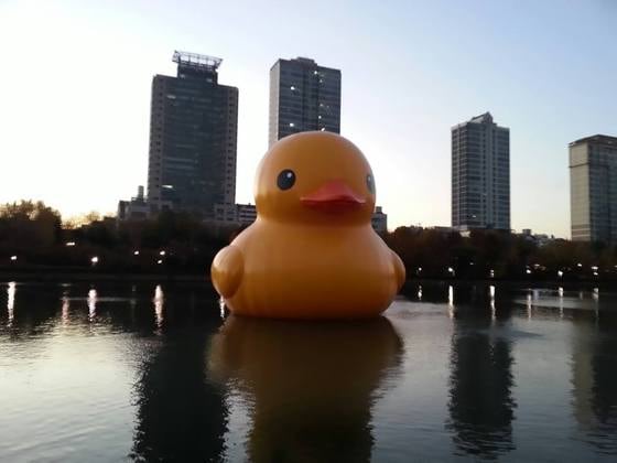 러버덕이 14일을 끝으로 철거된다. 러버덕 공식 페이스북 ⓒ News1