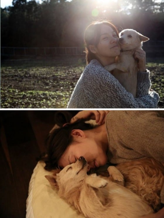 이효리 블로그. ⓒ News1 2014.11.04/뉴스1 ⓒ News1