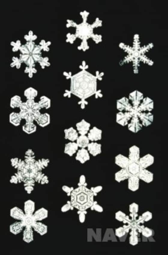 눈 결정은 3000종이 넘는 다양한 형태를 지니고 있다. ⓒ 사진 출처 네이버 ⓒ News1
