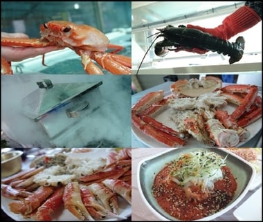 강원도 속초 동명항 횟집 '비치대게직판장' ⓒ News1