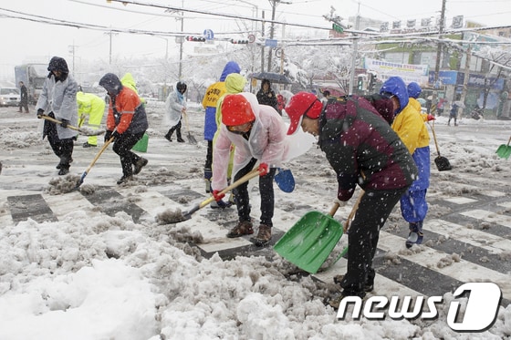 울산 북구 직원들이 10일 화봉사거리에서 제설작업을 하고 있다. (울산 북구청 제공) © News1