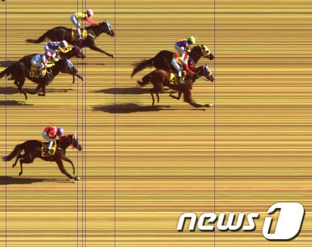 지난달 26일 과천 서울경마공원에서 열린 5경주에서 문세영과 서승운이 동시에 결승선을 통과하며 공동 1위를 기록했다./한국마사회 제공© News1