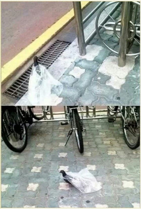 온라인 커뮤니티. © News1  