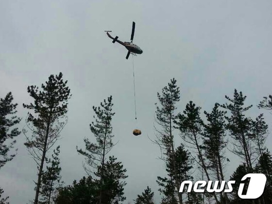 소나무재선충병 항공방제작업 모습. © News1 김규신 기자