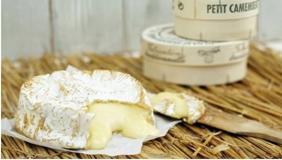 치즈가 함유된 음식은 설사로 고통받을 때 반드시 피해야 할 음식이다. ⓒ News1