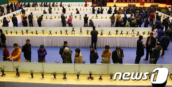 22일부터 이틀간 함평농어민문화체육센터에서 열린 2014 대한민국 난 명품 대제전이 성황리에 끝났다/사진제공=함평군 © News1 