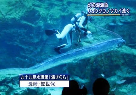 산갈치 © 유튜브 