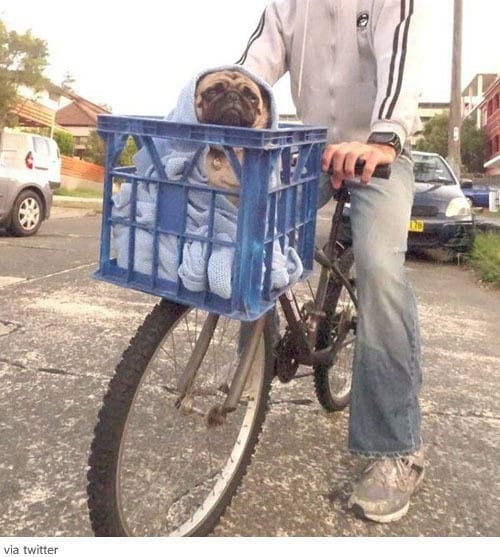 길에서 만난 ET(온라인 커뮤니티). © News1   