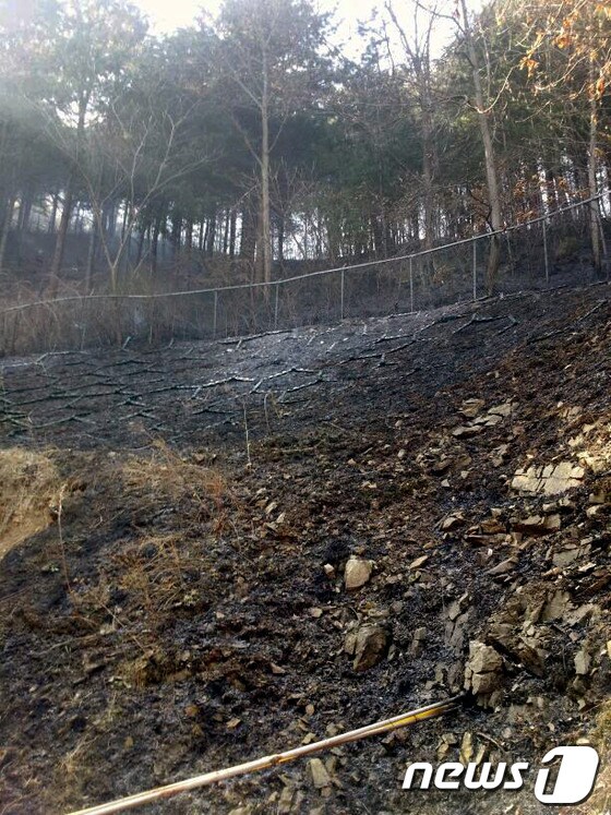 7일 오후 1시 37분께 강원 춘천시 서면 당림리 풀무원 공장 뒷편 야산에서 등산객 실화로 추정되는 산불이 발생해 임야 0.05㏊가 소실됐다.&#40;춘천소방서 제공&#41; 2014.3.7/뉴스1 © News1   이예지 기자