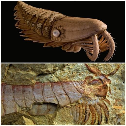 라이브 사이언스.© News1  