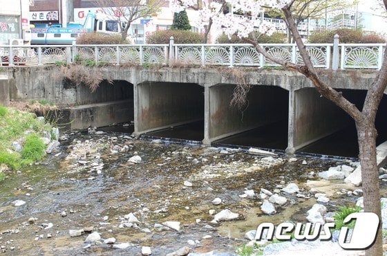 원주 단계천 우산동 미복개 구간.2014.4.12/뉴스1 © News1 권혜민 기자