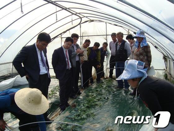 최고품질 ‘탑과채’ 수박생산 현장컨설팅 © News1